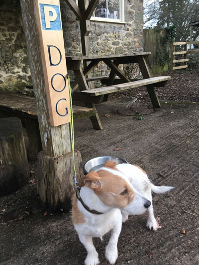 dog on lead next to dog sign